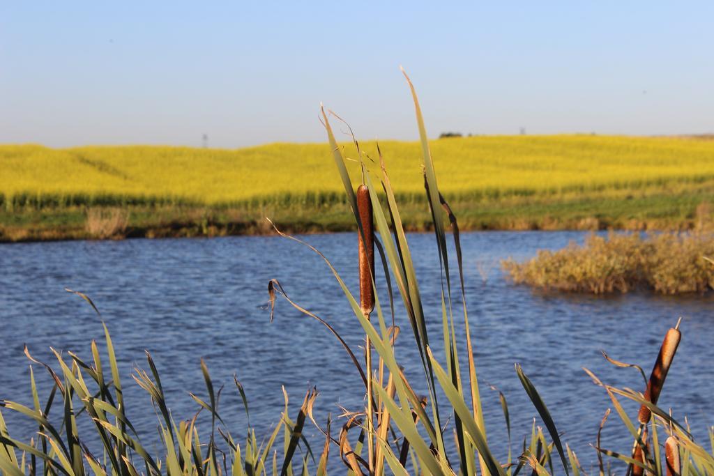הוילה ז'וקובו Agro Nad Stawem מראה חיצוני תמונה